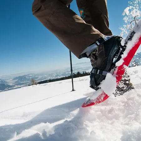 Verditz Alpe Maritima & - 1 By Interhome Apartment Annenheim